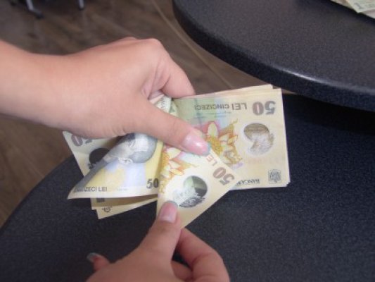 Statul caută un investitor care să-i dea bani fără dobândă